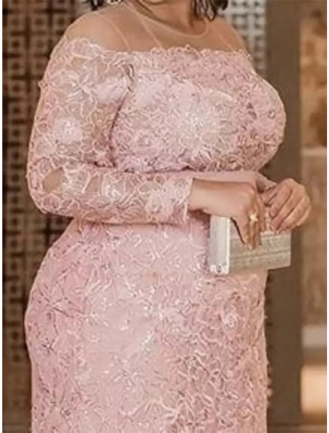 Wholesale Mother of the Bride Dresses Plus Size Curve Hide Belly Wedding Guest Party Elegant Illusion Neck Floor Length Lace Long Sleeve with Solid Color