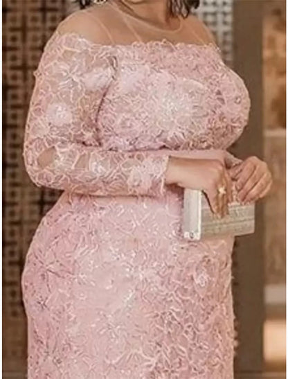 Wholesale Mother of the Bride Dresses Plus Size Curve Hide Belly Wedding Guest Party Elegant Illusion Neck Floor Length Lace Long Sleeve with Solid Color