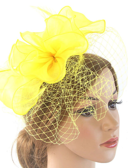 Wholesale Fascinators Kentucky Derby Hat Organza Polyester / Polyamide Fedora Hat Floppy Hat Veil Hat Tea Party Horse Race Ladies Day Vintage Vintage Style Elegant With Feather Appliques