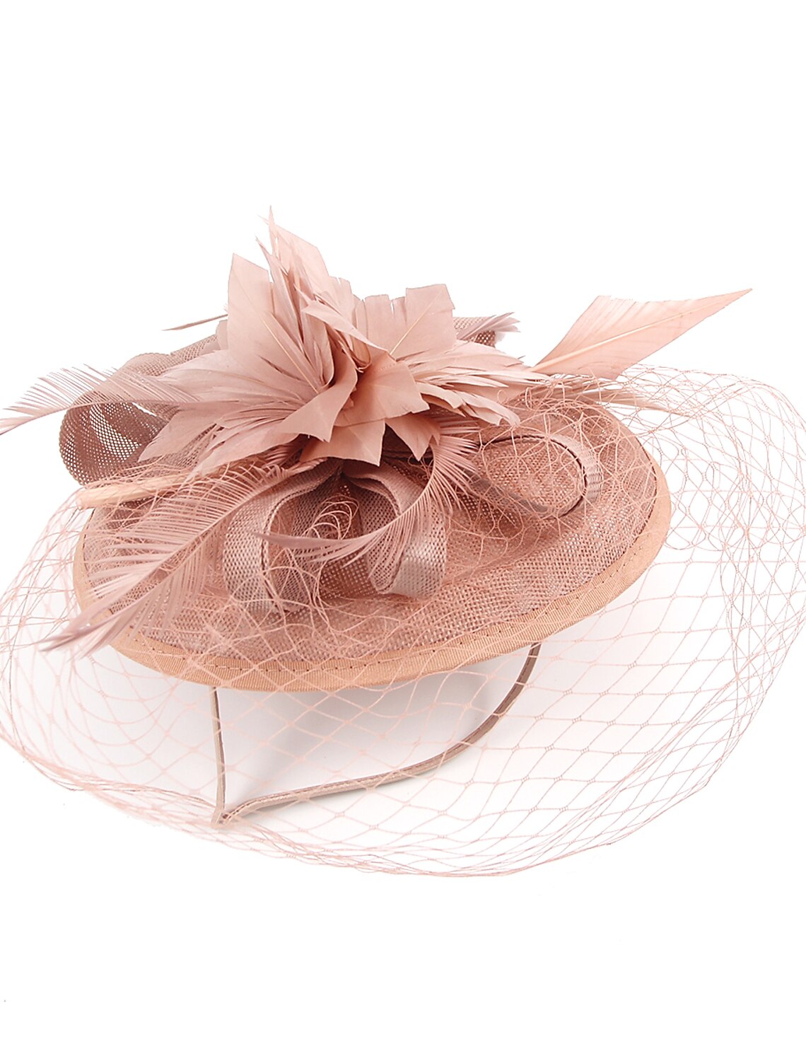 Wholesale Fascinators Kentucky Derby Hat Headwear Organza Polyester / Polyamide Fedora Hat Floppy Hat Veil Hat Tea Party Horse Race Ladies Day Vintage Style Vintage Elegant With Feather Appliques