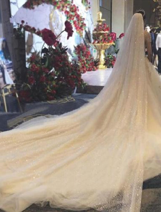 Wholesale One-tier Luxury Wedding Veil Cathedral Veils with Solid Tulle