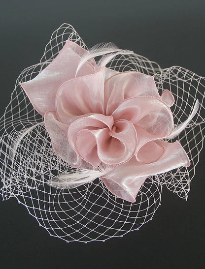 Wholesale Fascinators Kentucky Derby Hat Organza Polyester / Polyamide Fedora Hat Floppy Hat Veil Hat Tea Party Horse Race Ladies Day Vintage Vintage Style Elegant With Feather Appliques